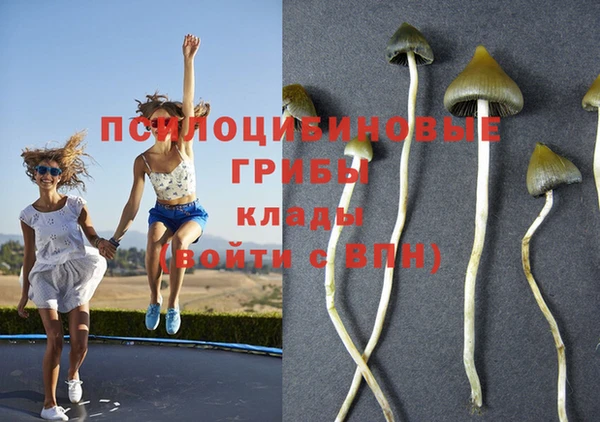 ешки Надым