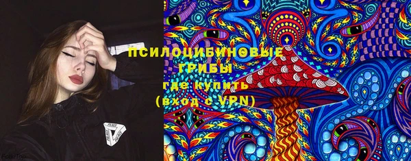 гашик Михайловск