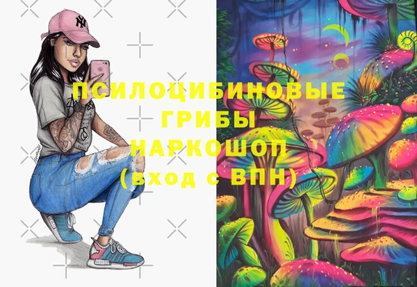 ешки Надым