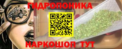 мдпв Аргун