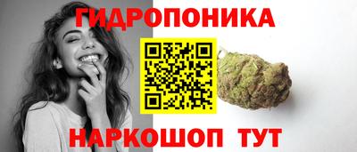 мдпв Аргун