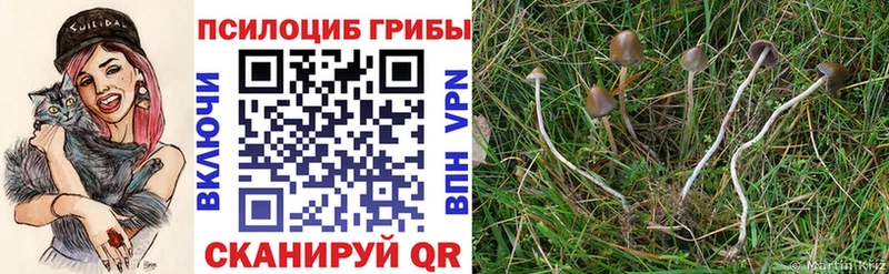 Галлюциногенные грибы Magic Shrooms  ссылка на мегу вход  Рязань 