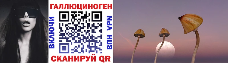 Галлюциногенные грибы Psilocybe Рязань