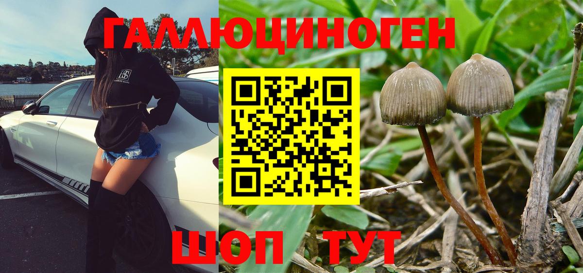 Псилоцибиновые грибы Cubensis  Вход с VPN  Рязань 